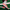 lfp grip socks für fußball