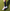 Fussball_Sportsocken_schwarz_LFP