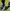 Fussballsocken_Daily_schwarz_LFP
