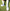 Fussballsocken_Daily_weiss_LFP