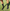 Fussballsocken_schwarz_LFP