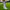 Classic Gripsocken/Sportsocken