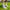 Only Grips Gripsocken/Sportsocken