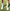 Sportsocken_Daily_weiss_LFP