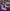 Sportsocken_weiss_LFP