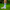 Standard Gripsocken/Sportsocken LFP
