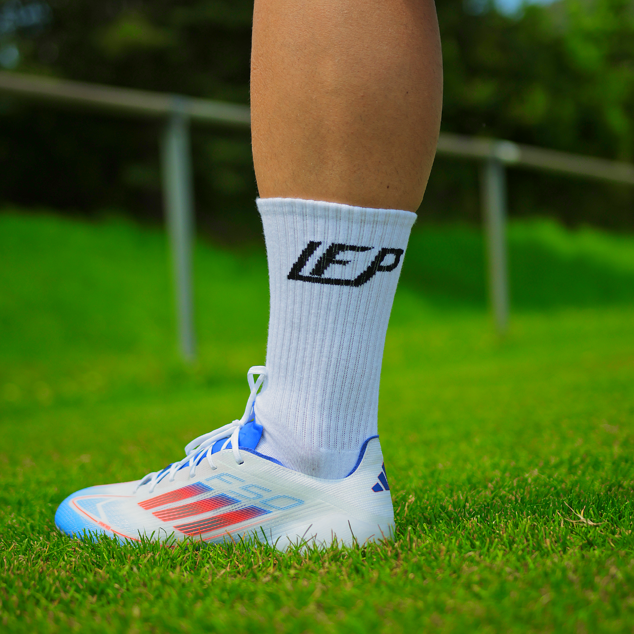 Standard Gripsocken/Sportsocken LFP