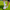 Standard Gripsocken/Sportsocken LFP