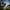 LFP "DAILY" Sportsocken – Atmungsaktive Sportsocken im 2er-Pack